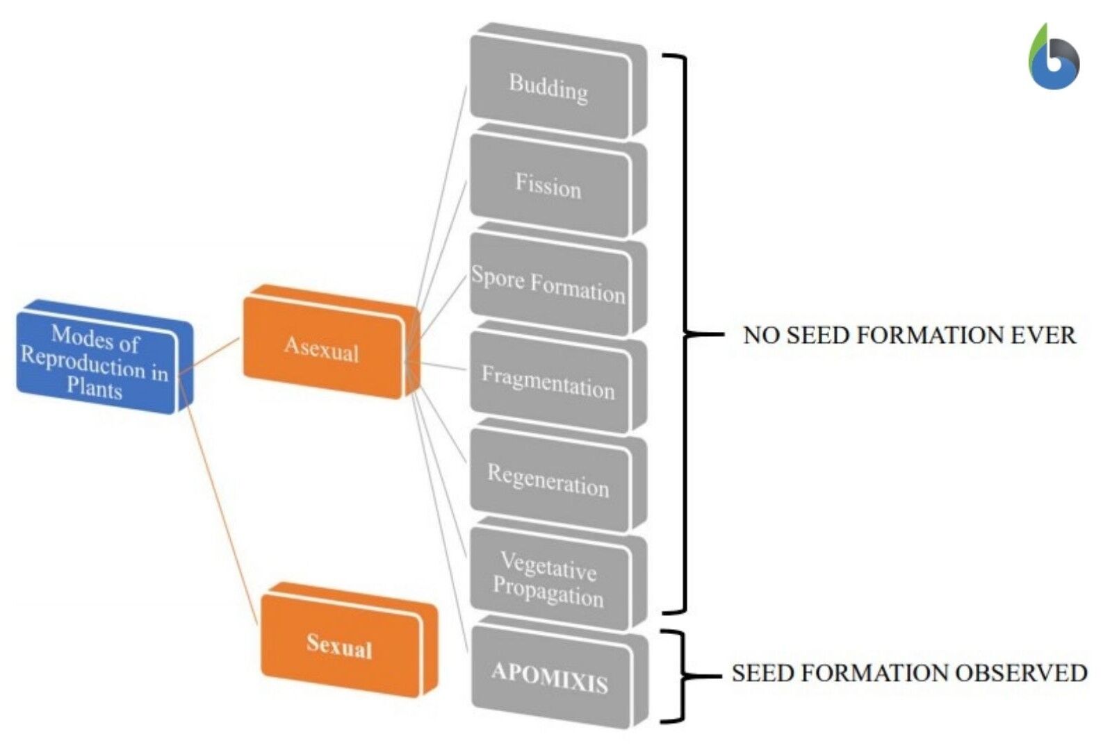 Different modes of reproduction in plants highlighting apomixis - diagram