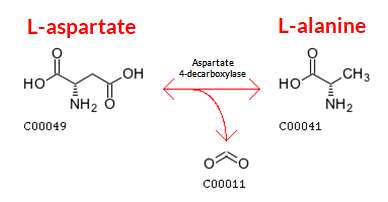 Production of L-alanine