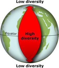 Relation of latitudinal gradient with biodiversity distribution