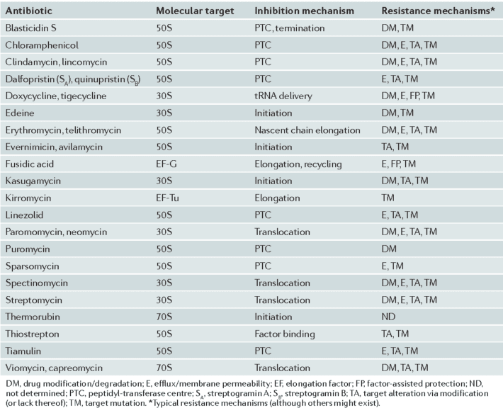antibiotics targetting the ribosomal subunits