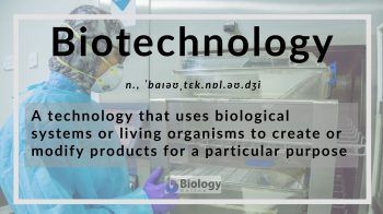 biotechnology definition