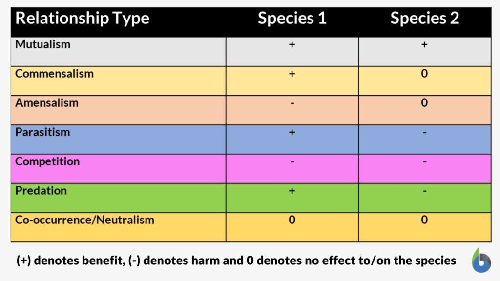 gain vs harm between two species in symbiosis