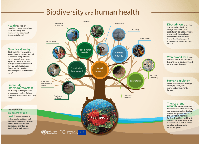 human health and global biodiversity