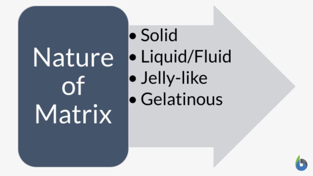 nature of the matrix