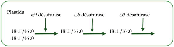 special desaturases