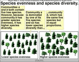 species evenness and species diversity