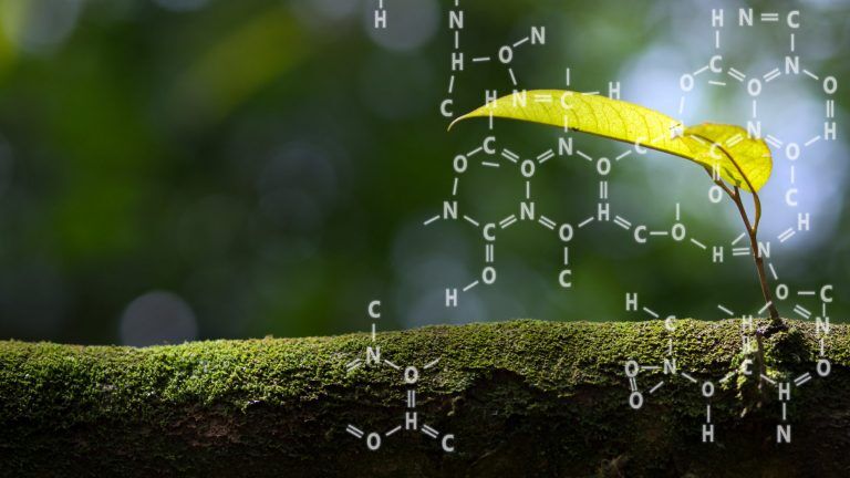 Effect of Chemicals on Growth & Development in Organisms - Biology Online  Tutorial