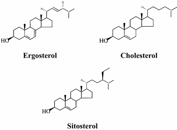 sterols structure