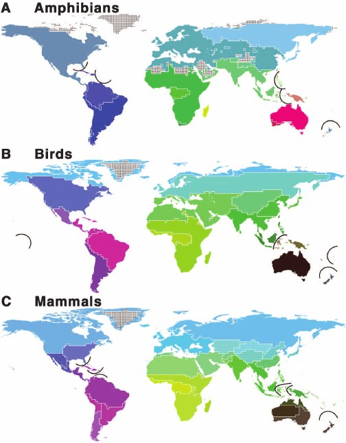 geographical distribution of animals in different terrestrial zoographic regions