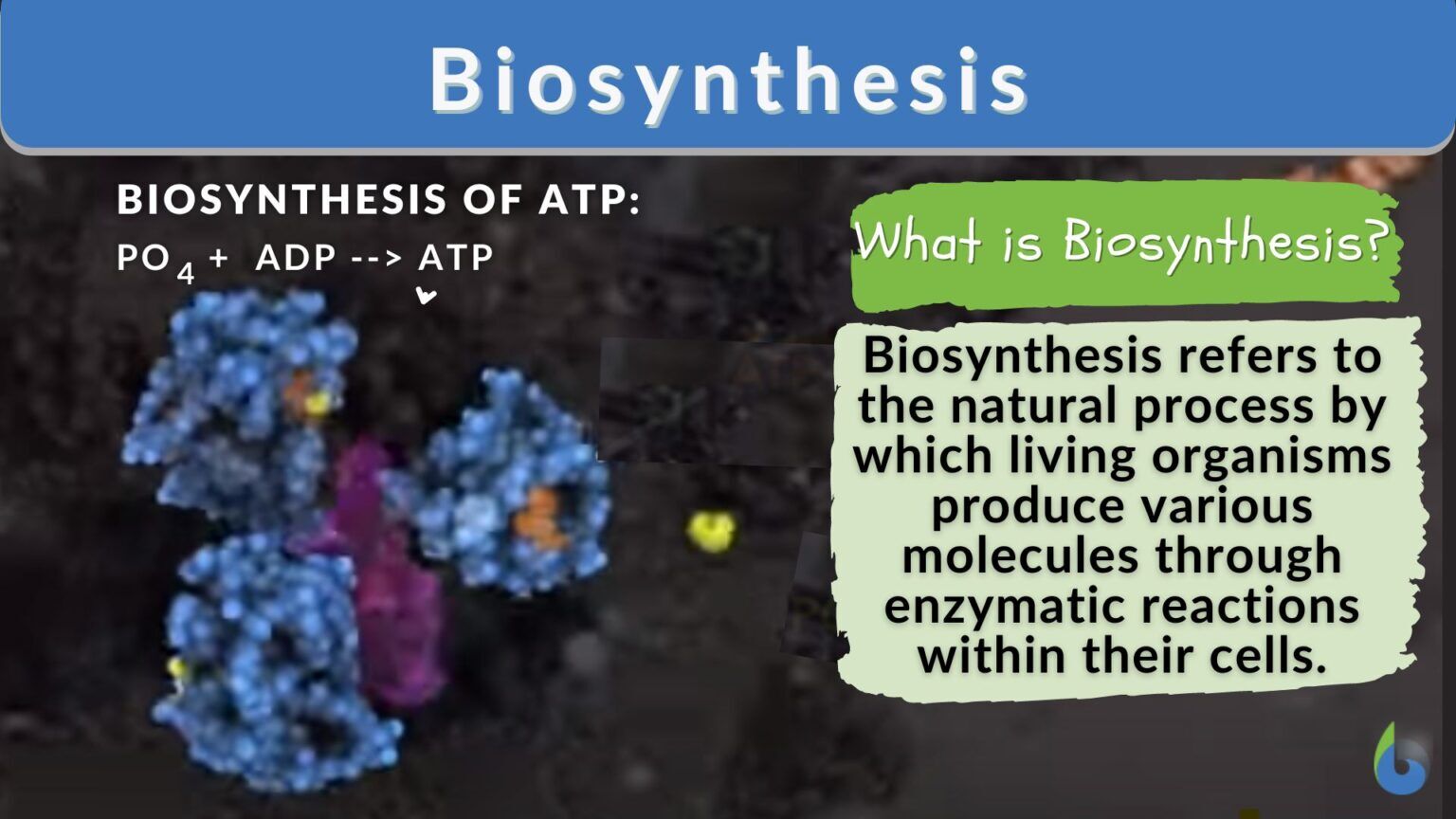 Biosynthesis - Definition and Examples - Biology Online Dictionary