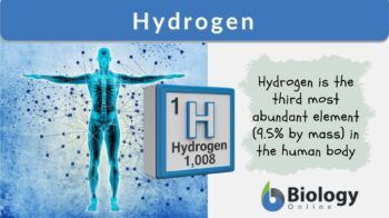 Hydrogen Definition and Examples - Biology Online Dictionary
