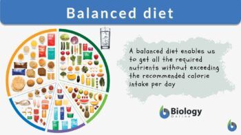 Basic Nutrients for Human Body: Essential Guide to Vital Health