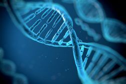 Control Definition and Examples - Biology Online Dictionary
